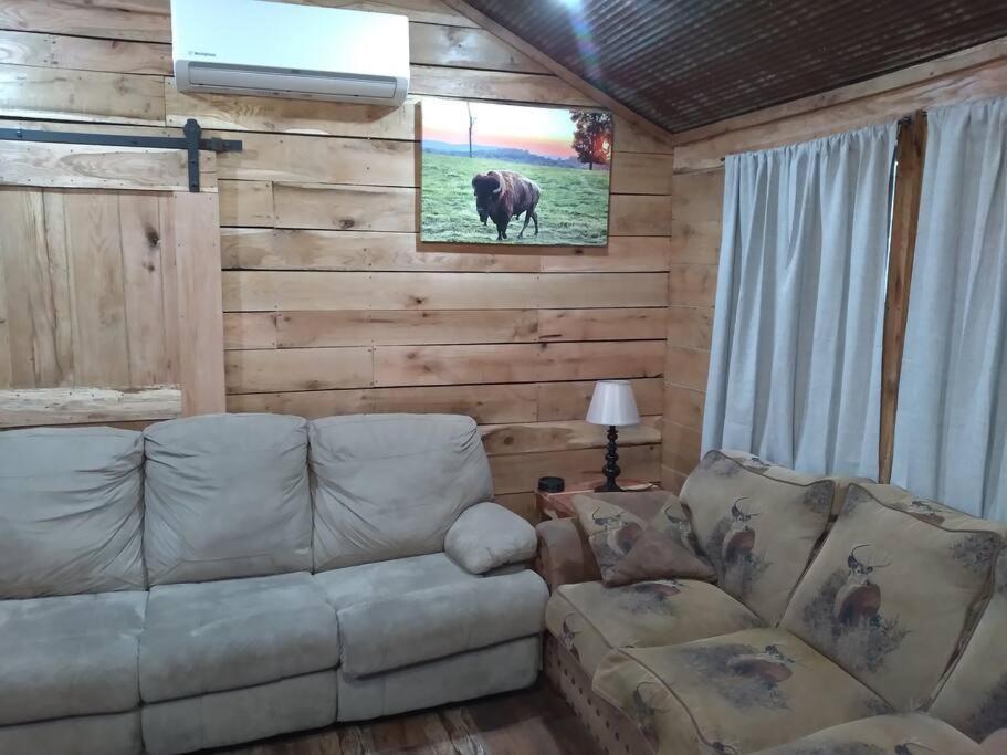 Cabin With A Tree House On A Buffalo Farm . Marshall Exterior foto