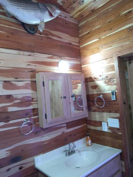 Cabin With A Tree House On A Buffalo Farm . Marshall Exterior foto