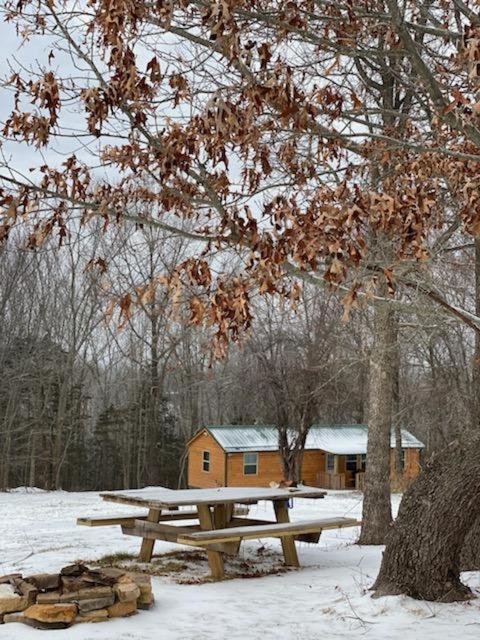 Cabin With A Tree House On A Buffalo Farm . Marshall Exterior foto